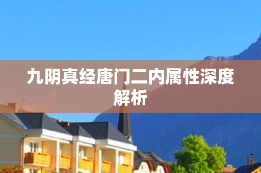 九阴真经唐门二内属性深度解析