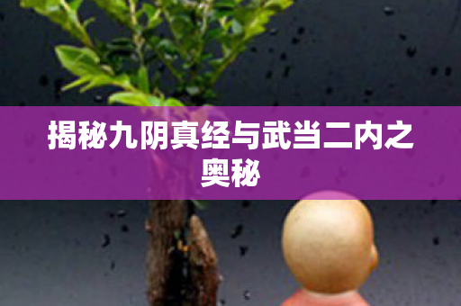 揭秘九阴真经与武当二内之奥秘