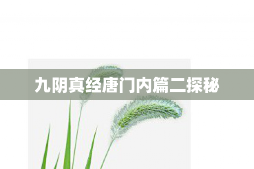 九阴真经唐门内篇二探秘