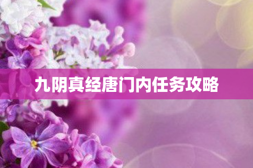 九阴真经唐门内任务攻略