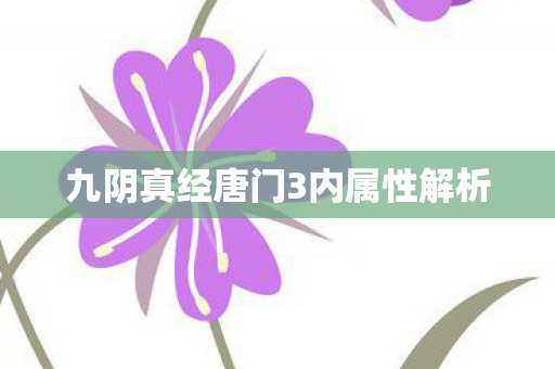 九阴真经唐门3内属性解析