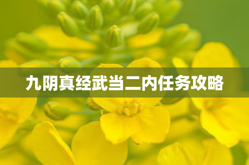 九阴真经武当二内任务攻略