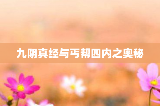 九阴真经与丐帮四内之奥秘 九阴真经与丐帮四内之奥秘