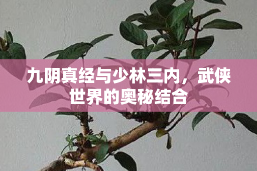 九阴真经与少林三内，武侠世界的奥秘结合
