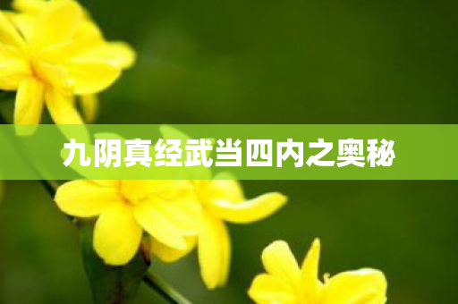 九阴真经武当四内之奥秘