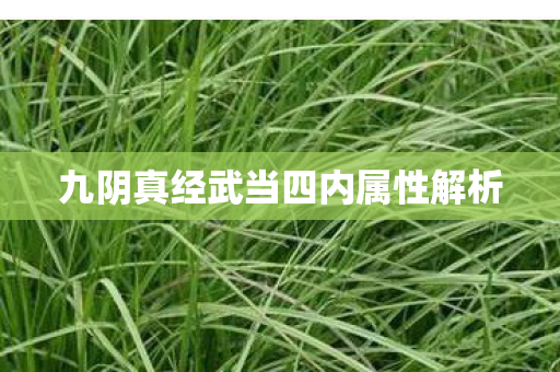 九阴真经武当四内属性解析