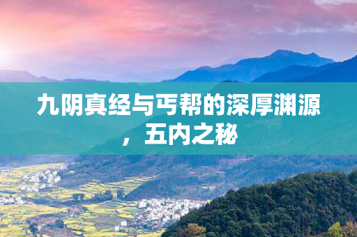 九阴真经与丐帮的深厚渊源，五内之秘