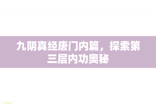 九阴真经唐门内篇，探索第三层内功奥秘