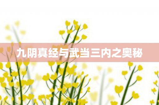 九阴真经与武当三内之奥秘