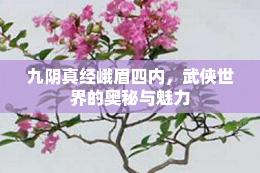 九阴真经峨眉四内，武侠世界的奥秘与魅力