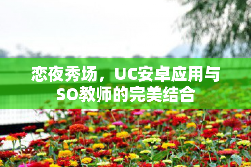 恋夜秀场,UC安卓应用与SO教师的完美结合 恋夜秀场,UC安卓应用与SO教师的完美结合
