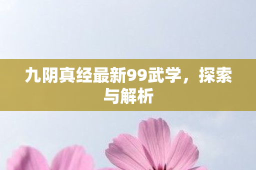 九阴真经最新99武学，探索与解析