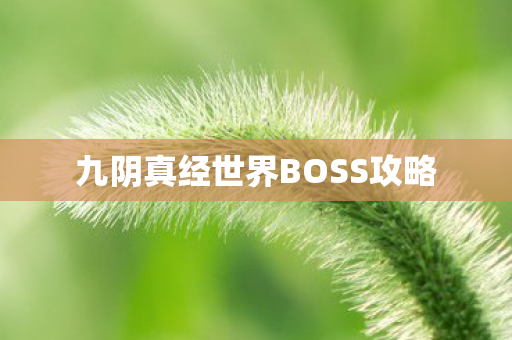 九阴真经世界BOSS攻略