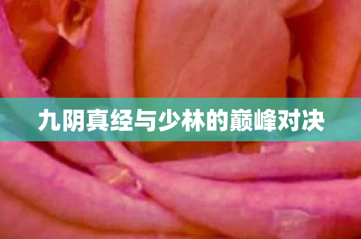九阴真经与少林的巅峰对决