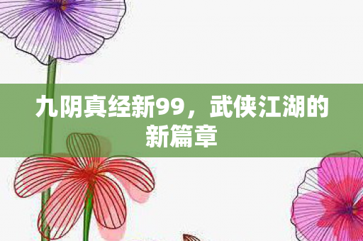 九阴真经新99，武侠江湖的新篇章