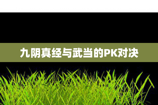 九阴真经与武当的PK对决