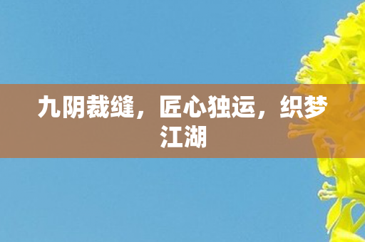 九阴裁缝，匠心独运，织梦江湖