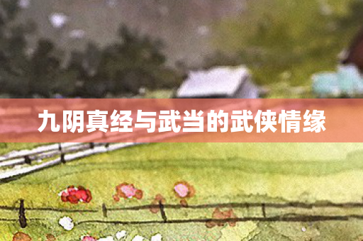 九阴真经与武当的武侠情缘