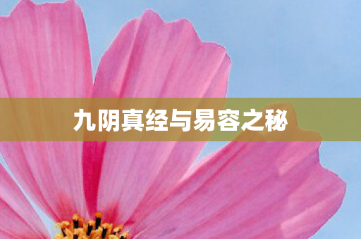九阴真经与易容之秘 九阴真经与易容之秘