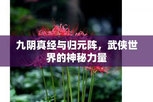 九阴真经与归元阵,武侠世界的神秘力量 九阴真经与归元阵,武侠世界的神秘力量