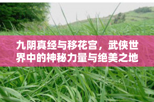 九阴真经与移花宫，武侠世界中的神秘力量与绝美之地