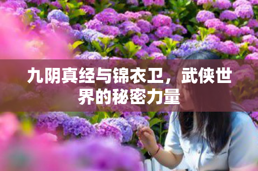 九阴真经与锦衣卫，武侠世界的秘密力量