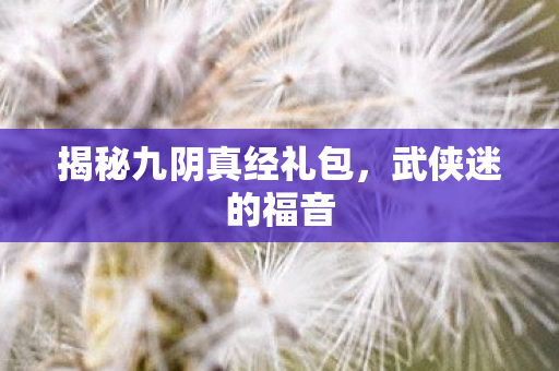 揭秘九阴真经礼包，武侠迷的福音