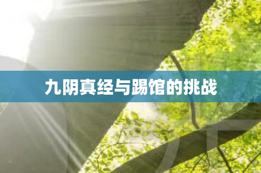 九阴真经与踢馆的挑战