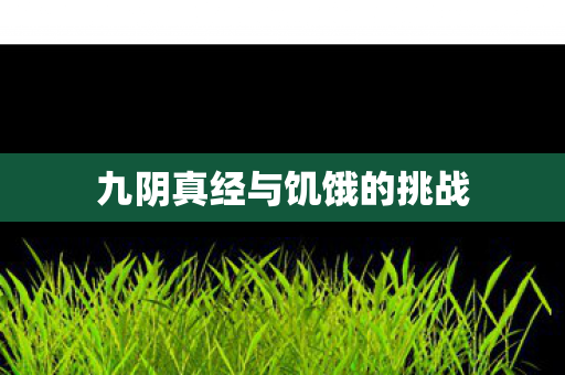 九阴真经与饥饿的挑战 九阴真经与饥饿的挑战