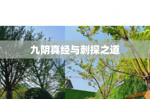 九阴真经与刺探之道 九阴真经与刺探之道