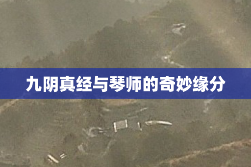 九阴真经与琴师的奇妙缘分 九阴真经与琴师的奇妙缘分