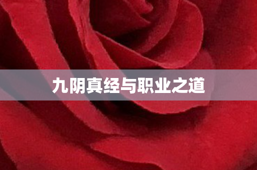 九阴真经与职业之道 九阴真经与职业之道