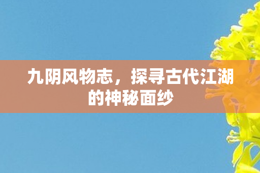 九阴风物志,探寻古代江湖的神秘面纱 九阴风物志,探寻古代江湖的神秘面纱
