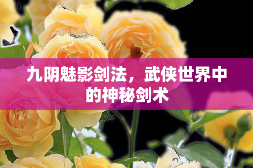 九阴魅影剑法，武侠世界中的神秘剑术