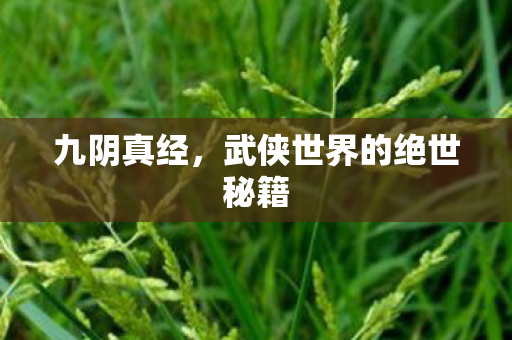 九阴真经，武侠世界的绝世秘籍