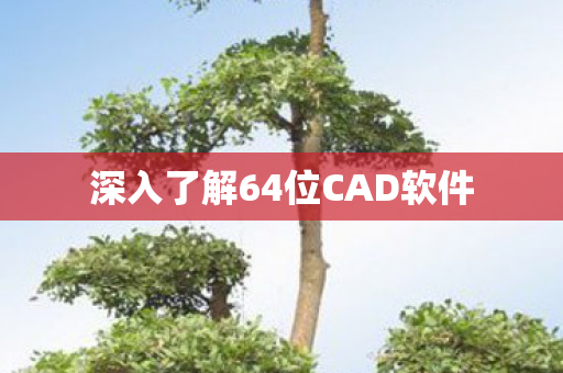 深入了解64位CAD软件