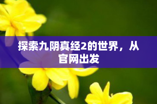 探索九阴真经2的世界，从官网出发