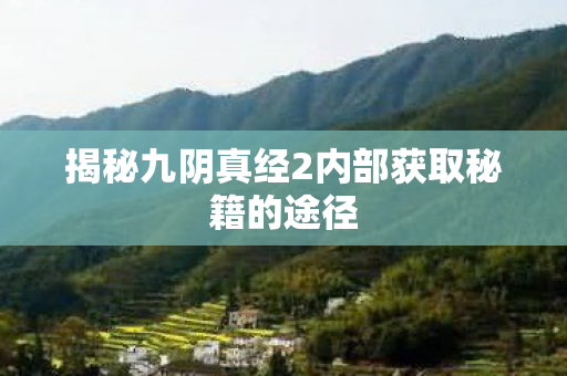 揭秘九阴真经2内部获取秘籍的途径