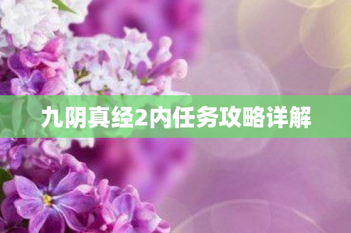 九阴真经2内任务攻略详解