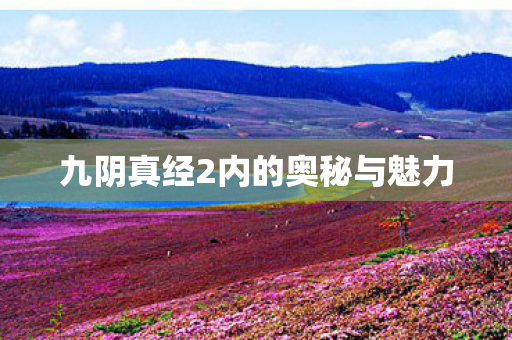 九阴真经2内的奥秘与魅力