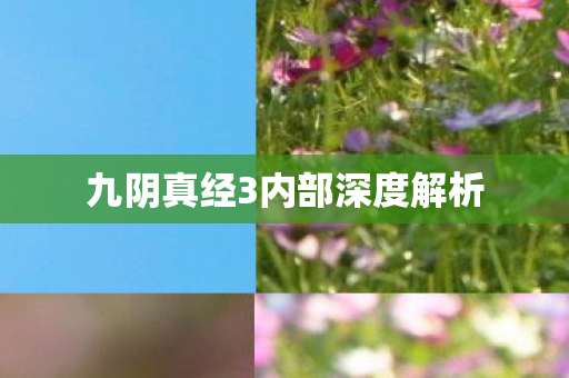 九阴真经3内部深度解析 九阴真经3内部深度解析