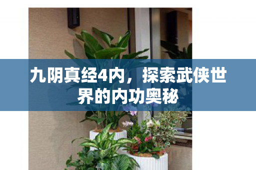 九阴真经4内,探索武侠世界的内功奥秘 九阴真经4内,探索武侠世界的内功奥秘