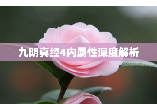 九阴真经4内属性深度解析