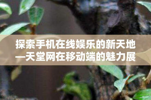 探索手机在线娱乐的新天地—天堂网在移动端的魅力展现