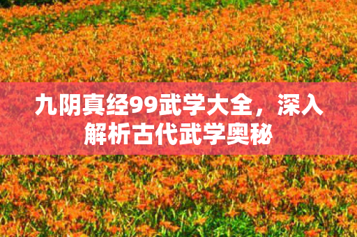 九阴真经99武学大全，深入解析古代武学奥秘
