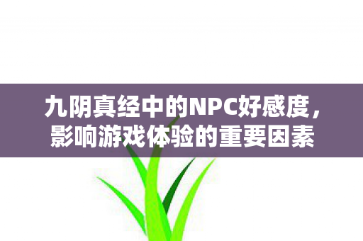 九阴真经中的NPC好感度，影响游戏体验的重要因素