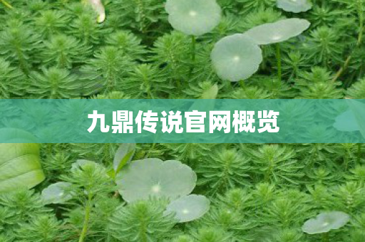 九鼎传说官网概览 九鼎传说官网概览