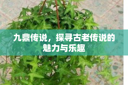 九鼎传说,探寻古老传说的魅力与乐趣 九鼎传说,探寻古老传说的魅力与乐趣