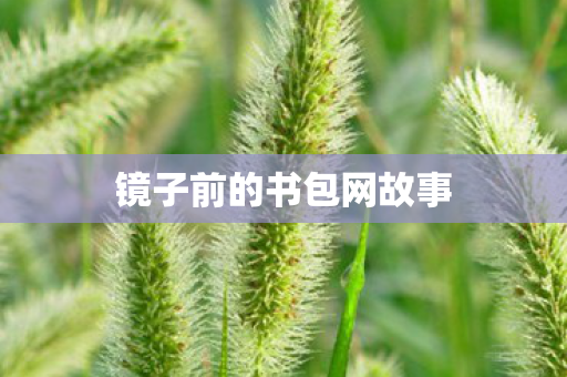 镜子前的书包网故事