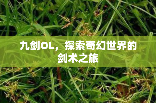 九剑OL，探索奇幻世界的剑术之旅
